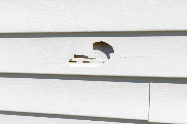Best Storm Damage Siding Repair  in Philadelphia, MS