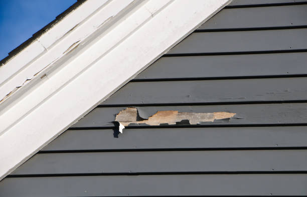 Best Residential Vinyl Siding Installation  in Philadelphia, MS