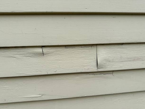 Trusted Philadelphia, MS Siding Installation & Repair Experts